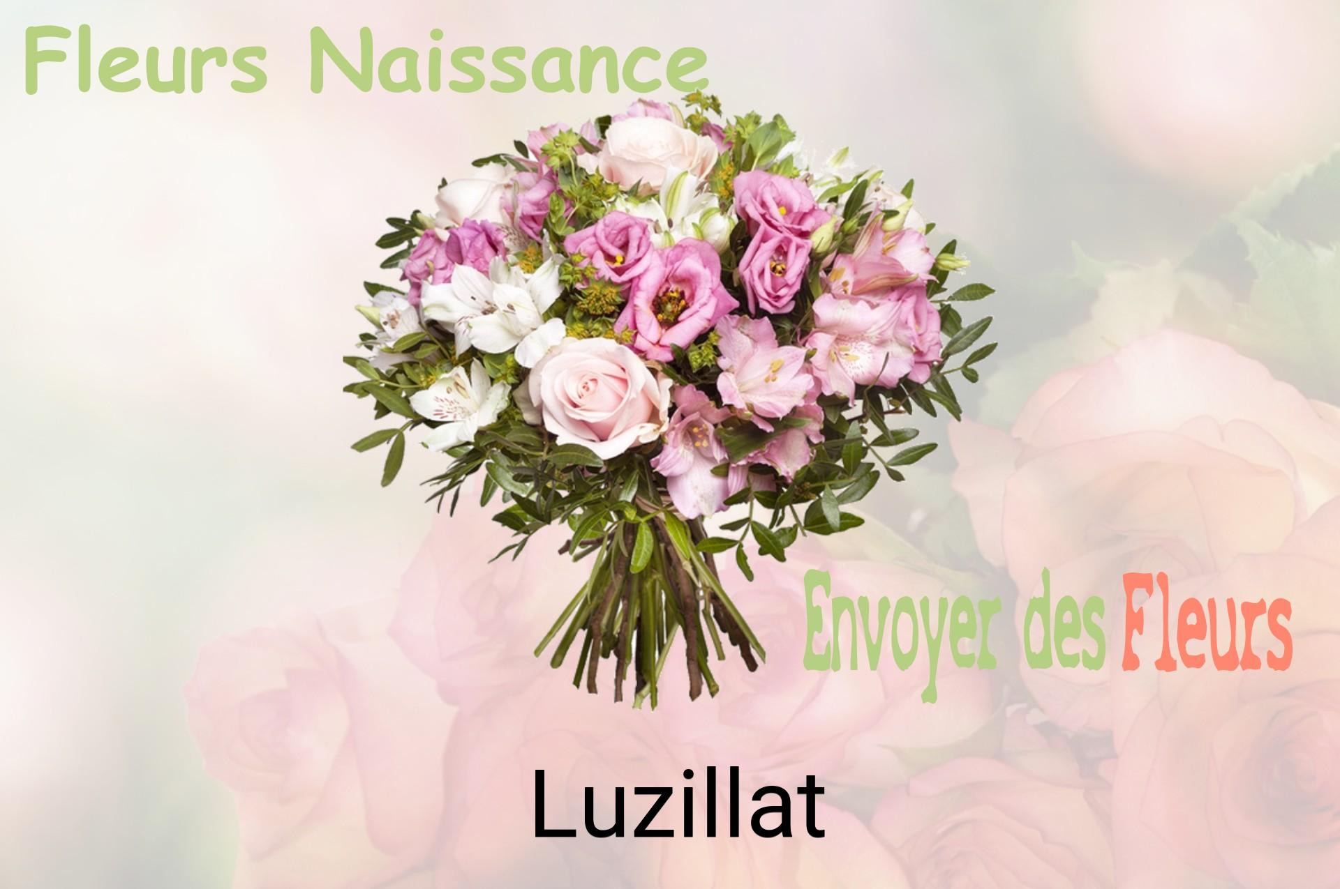 Bouquet de fleurs de naissance livré à Luzillat