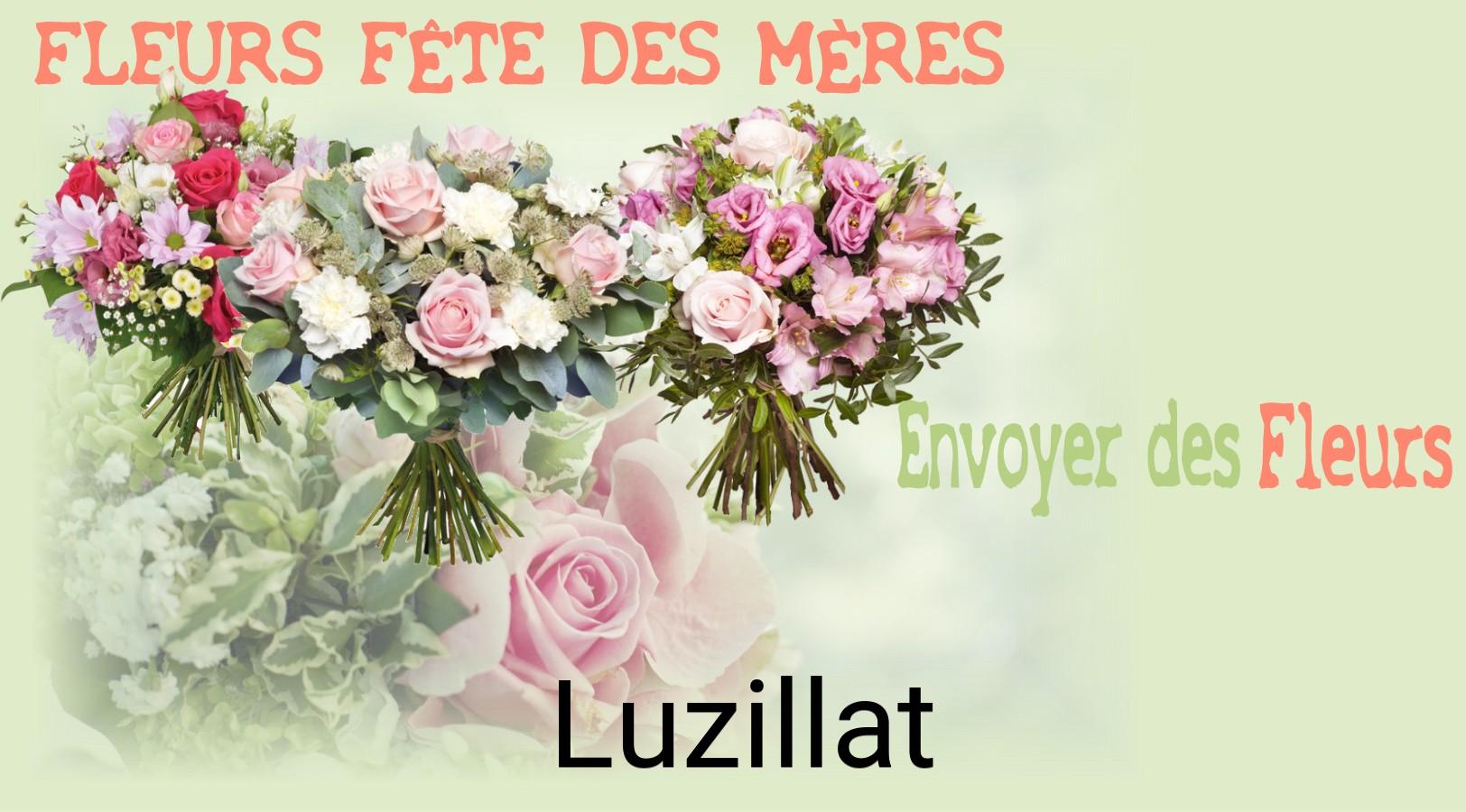 Bouquet de Fête des Mères livré à Luzillat